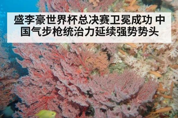 盛李豪世界杯总决赛卫冕成功 中国气步枪统治力延续强势势头